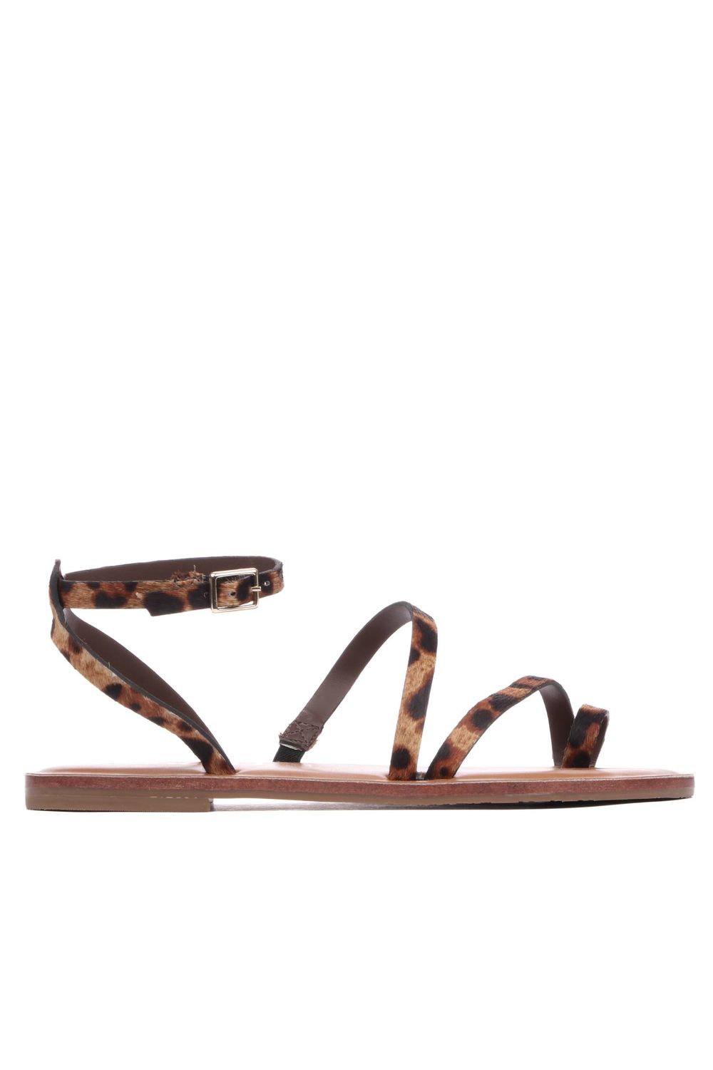 C223104-COR-0249-1--1-